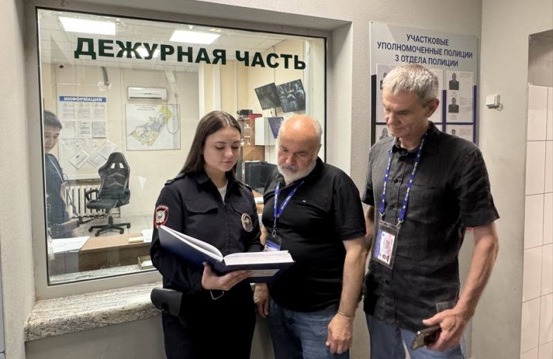 Гражданский мониторинг