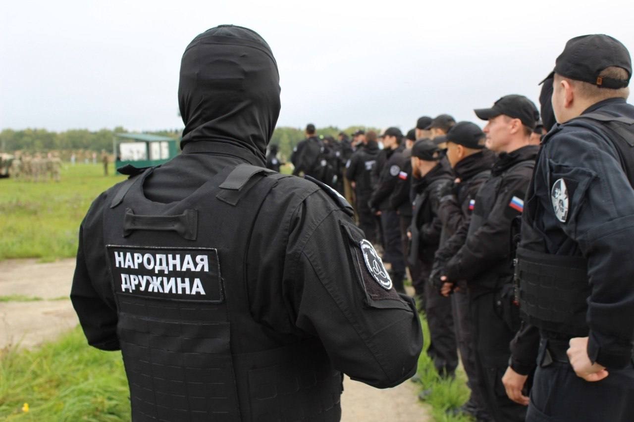 Народные дружины Московской области Народные дружины Московской области