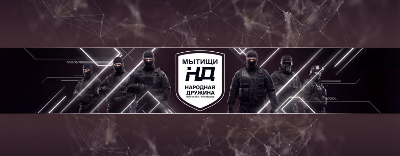 Народная Дружина
