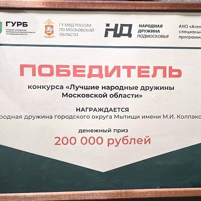 Награды и достижения Народной Дружины 0