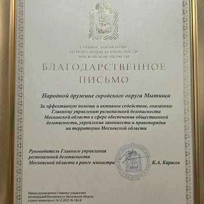 Награды и достижения Народной Дружины 1